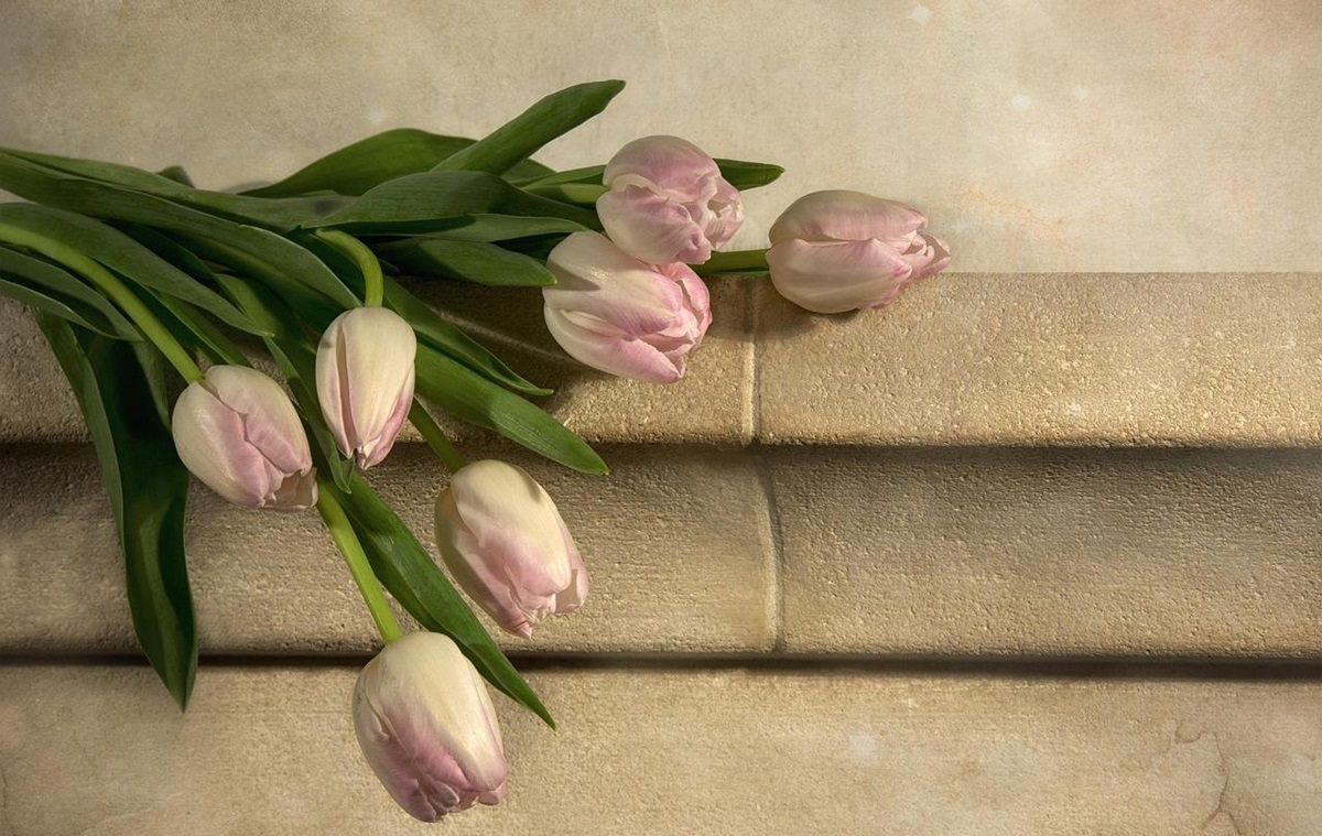 Фото для новини:Свята 13 березня 2026: факти, традиції, іменини