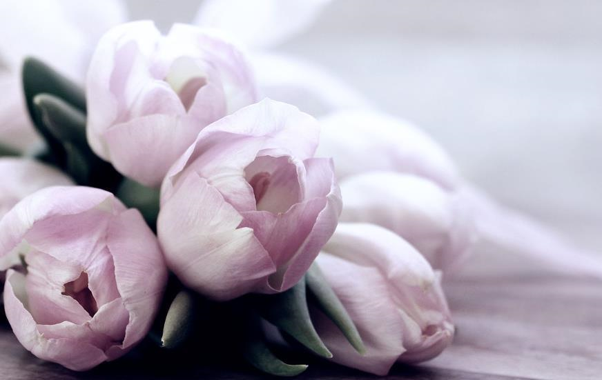 Фото для новини:Свята 16 березня 2026: факти, традиції, прикмети