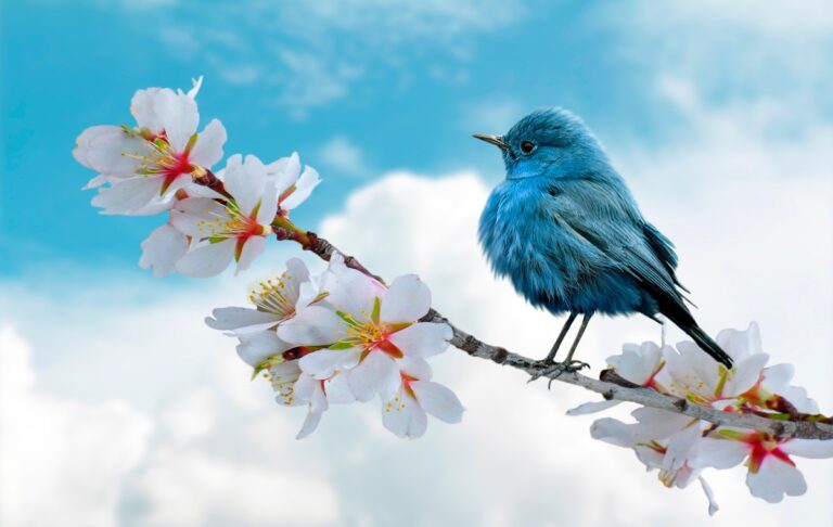 Фото для новини:Свята 18 березня 2026: події, факти, іменини