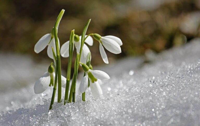 Фото для новини:Свята 19 березня 2026 року: факти, події, заборони