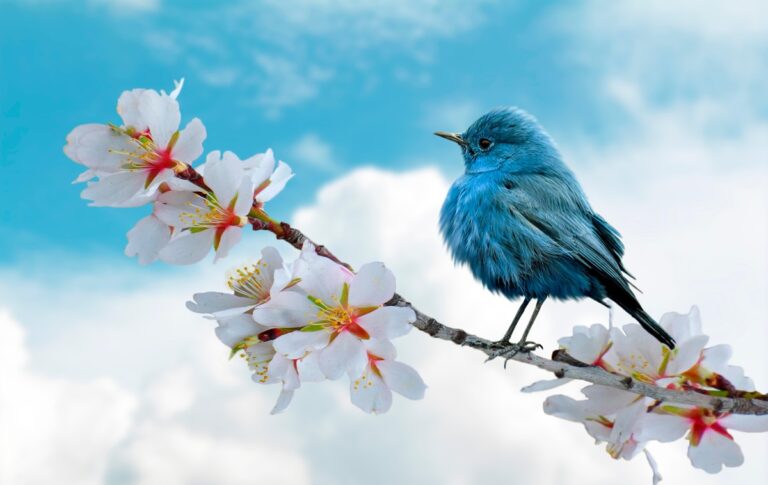 Фото для новини:Свята 26 березня 2026: події, традиції, прикмети