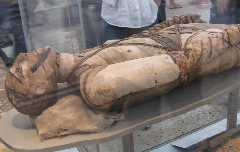 Фото для новини:У муміях Стародавнього Єгипту знайшли канабіс, кокаїн і нікотин