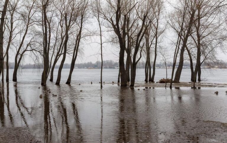 Фото для новини:Уряд прогнозує в Україні активні весняні повені