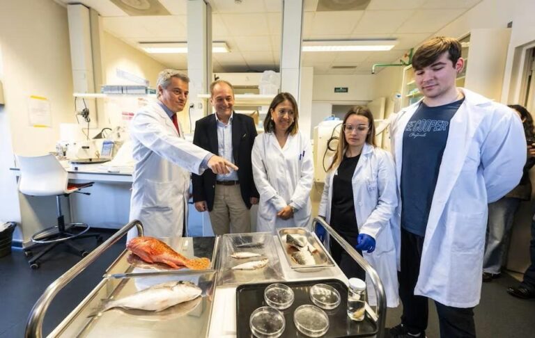 Фото для новини:В Іспанії створили штучну рогівку з риб&rsquo;ячої луски