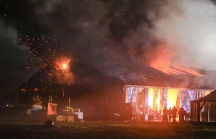 Фото для новини:В Нідерландах загинули близько тисячі кіз під час пожежі на фермі