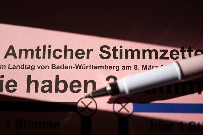 Фото для новини:В Німеччині заявили про плани РФ з втручання в регіональні вибори