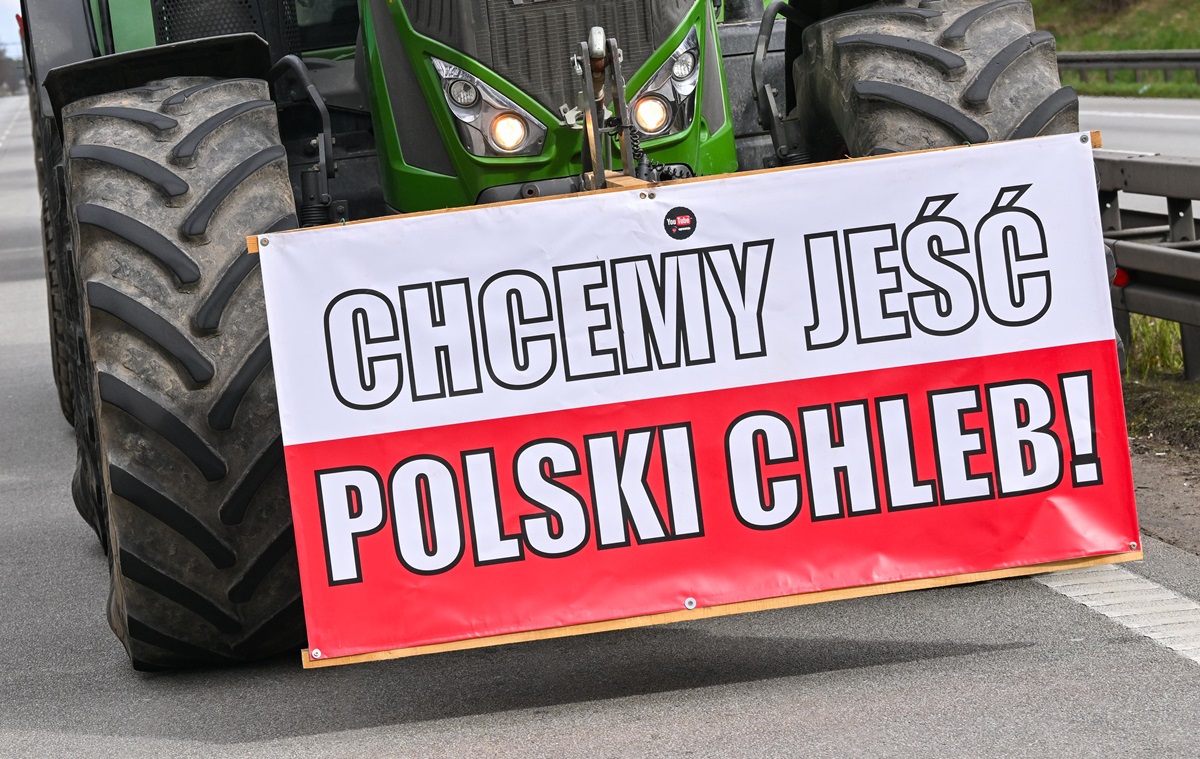 Фото для новини:В Польщі заблокували майже 60 тонн агропродукції України