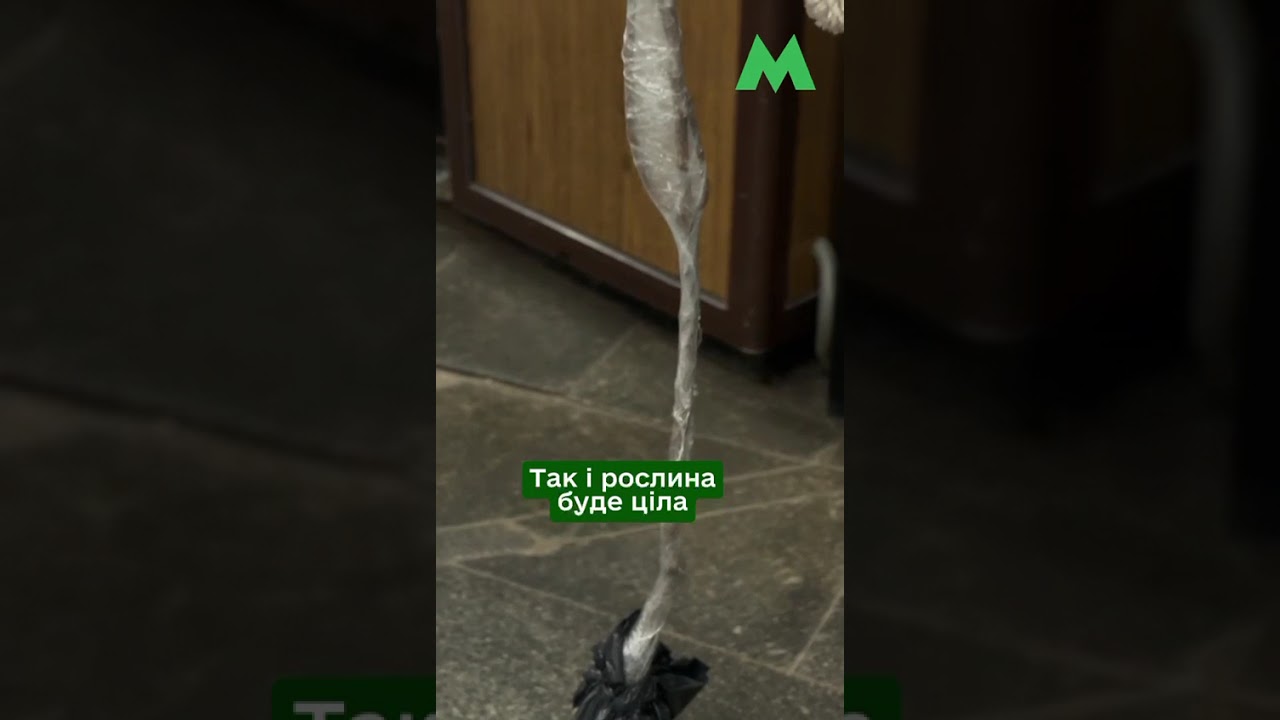 Фото для новини:Як перевозити саджанці у столичному метро: правила