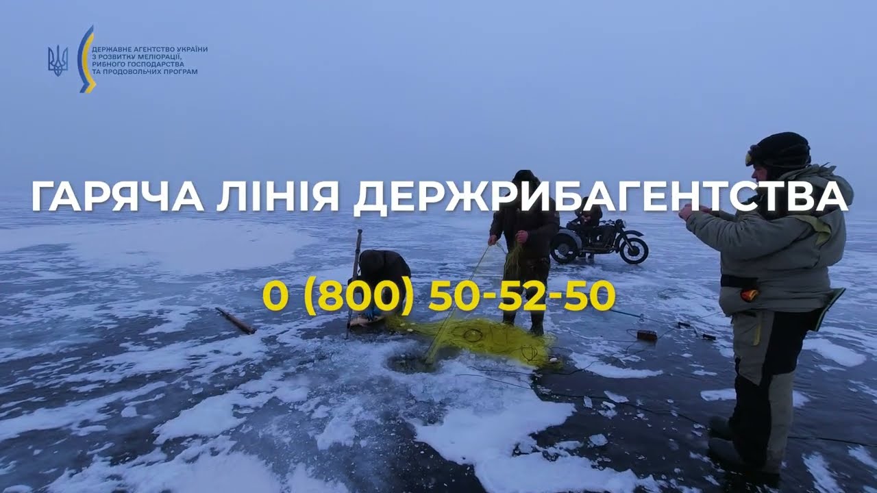 Фото для новини:❗️ Рибоохоронці Держрибагентства – на варті рибних багатств України