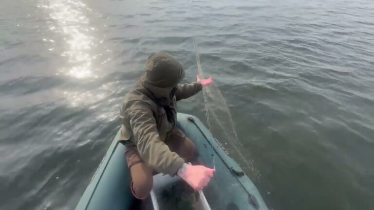 Фото для новини:❗️ На водоймах Рівненщини розпочалася нерестова заборона