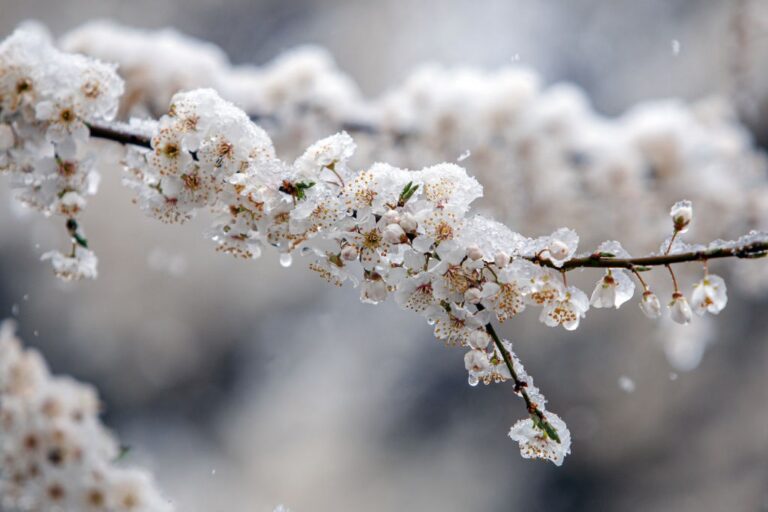Фото для новини:Дощ, мокрий сніг і заморозки: погода на понеділок