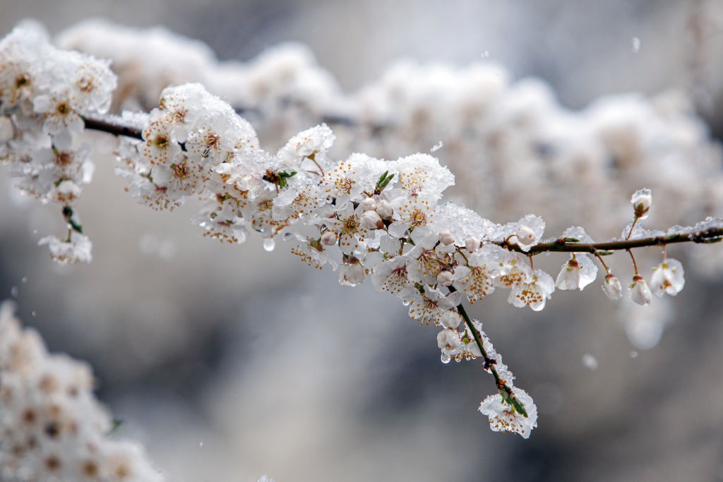 Фото для новини:Дощ, мокрий сніг і заморозки: погода на понеділок