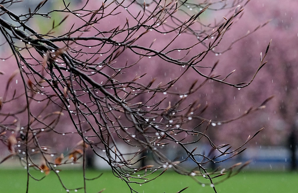 Фото для новини:Дощі охоплять більшість регіонів України