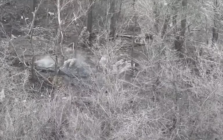 Фото для новини:Двоє бійців ЗСУ взяли в полон вісьмох окупантів