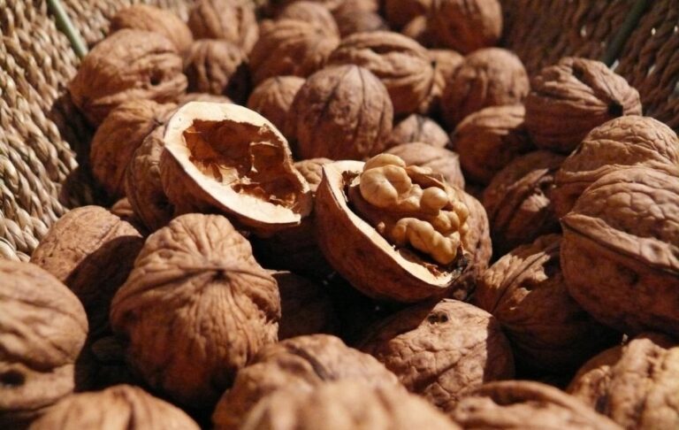 Фото для новини:Суперфуд: схуднення й боротьба з Альцгеймером у жмені горіхів