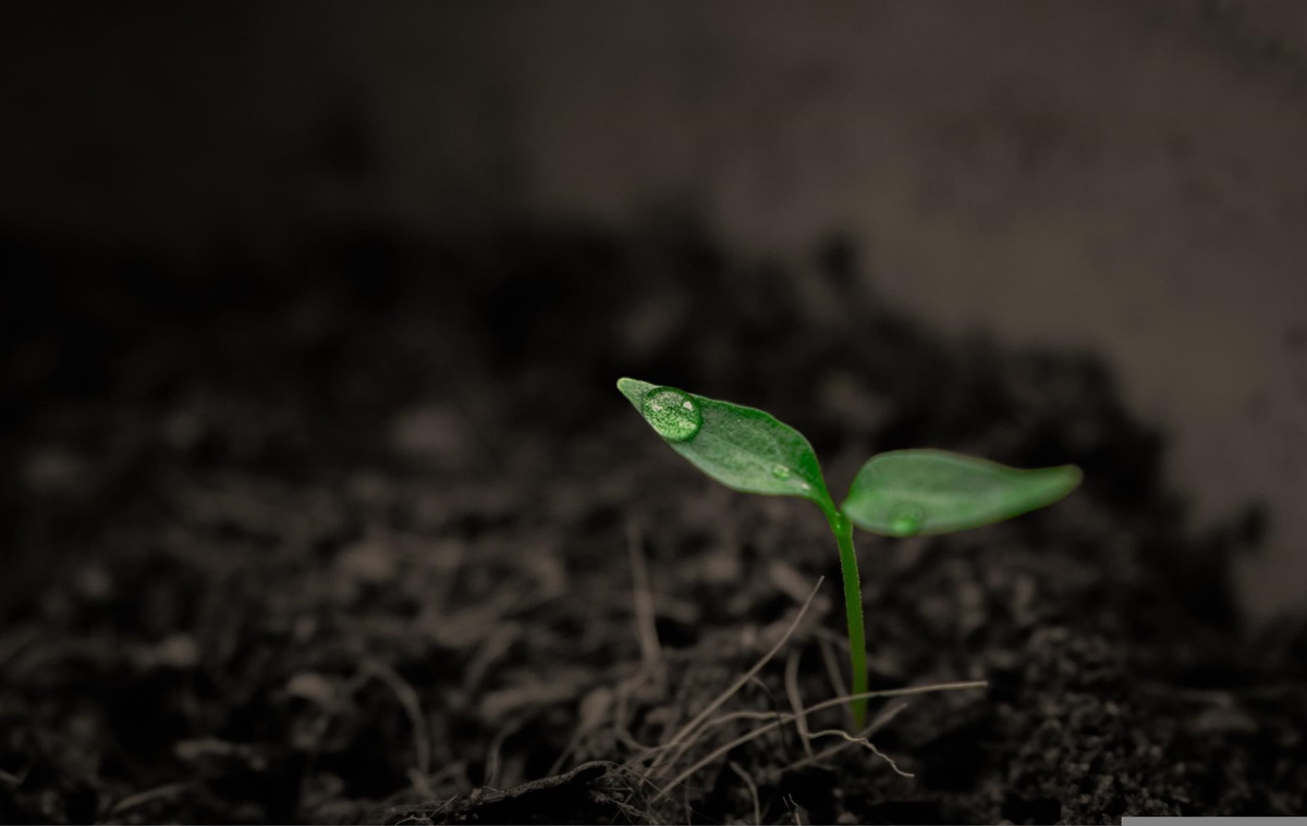 Фото для новини:Суперкомп&rsquo;ютер NASA назвав приблизну дату кінця життя на Землі