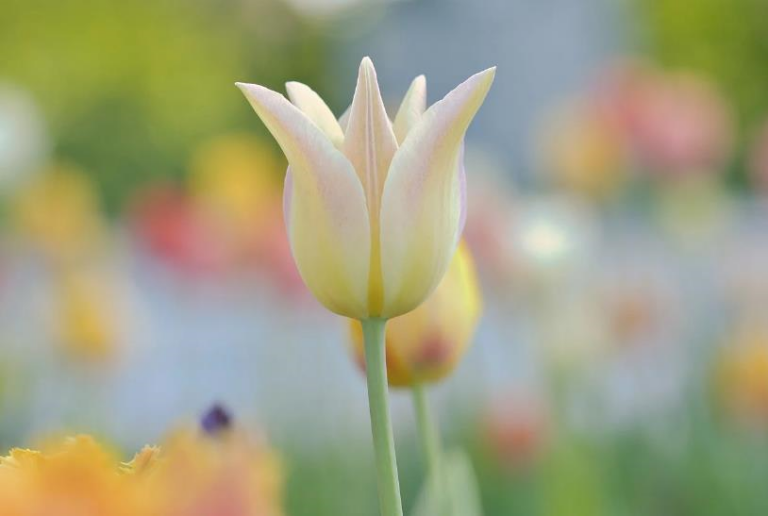 Фото для новини:Свята 23 квітня 2026 року: що не можна робити в цей день