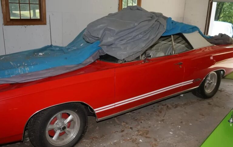 Фото для новини:У США виявили секретну колекцію вінтажних спортивних авто