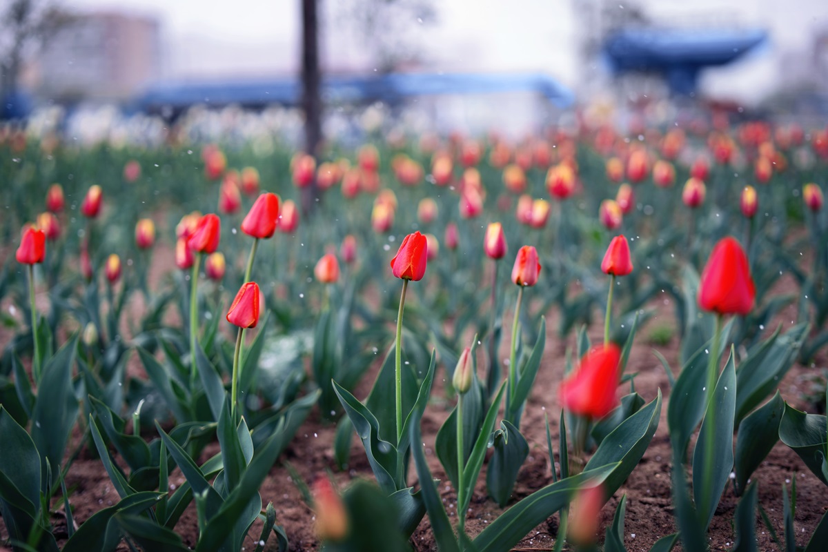 Фото для новини:Українців попередили про різке похолодання