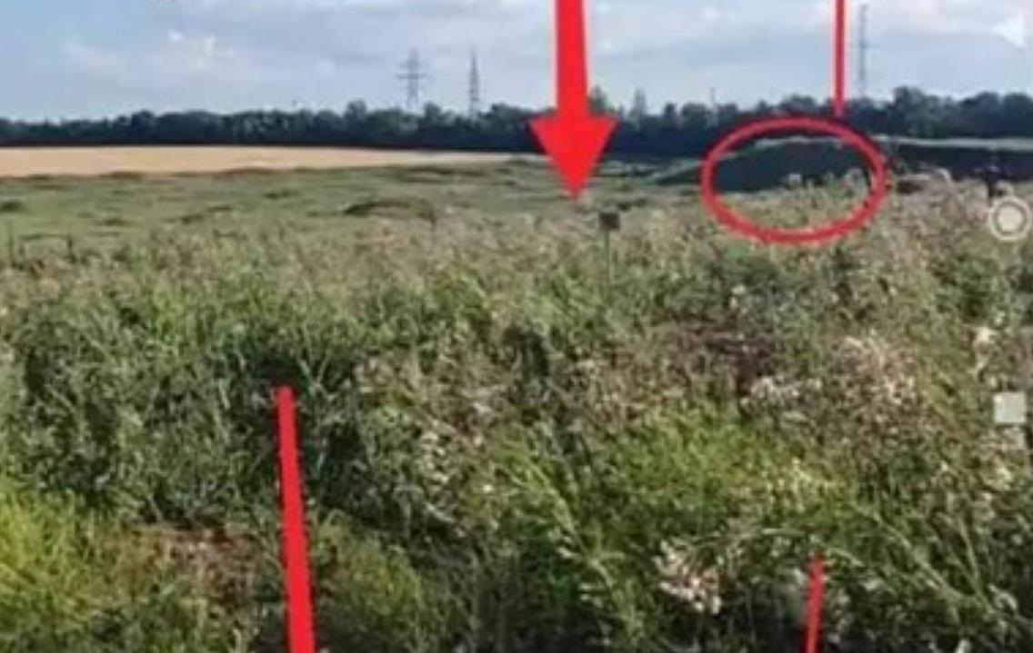 Фото для новини:В Маріуполі знайшли приховане масове поховання