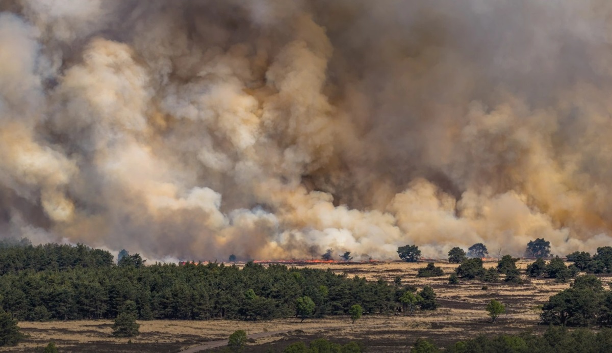 Фото для новини:В Нідерландах розгорілася пожежа на військовому полігоні