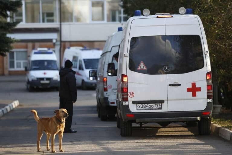 Фото для новини:В Росії щонайменше у 16 регіонах фіксують осередки сказу - ЗМІ
