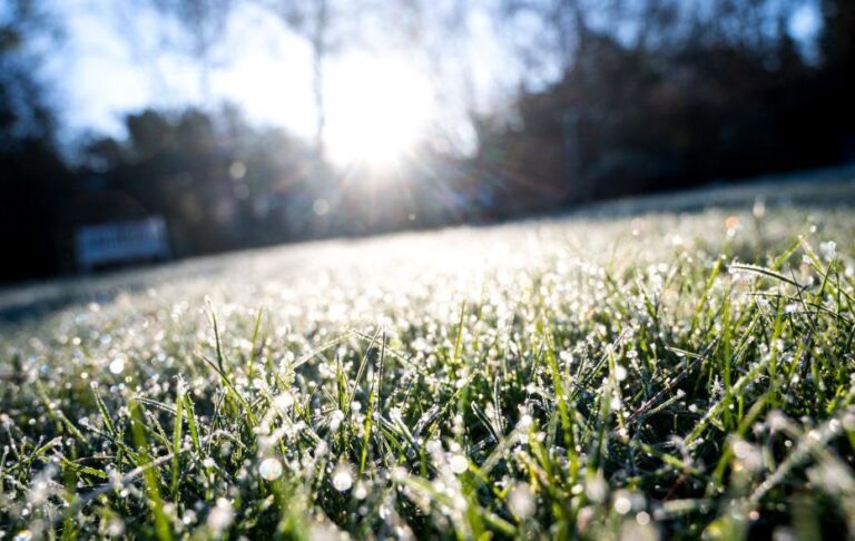 Фото для новини:В Україну повертаються заморозки і мокрий сніг