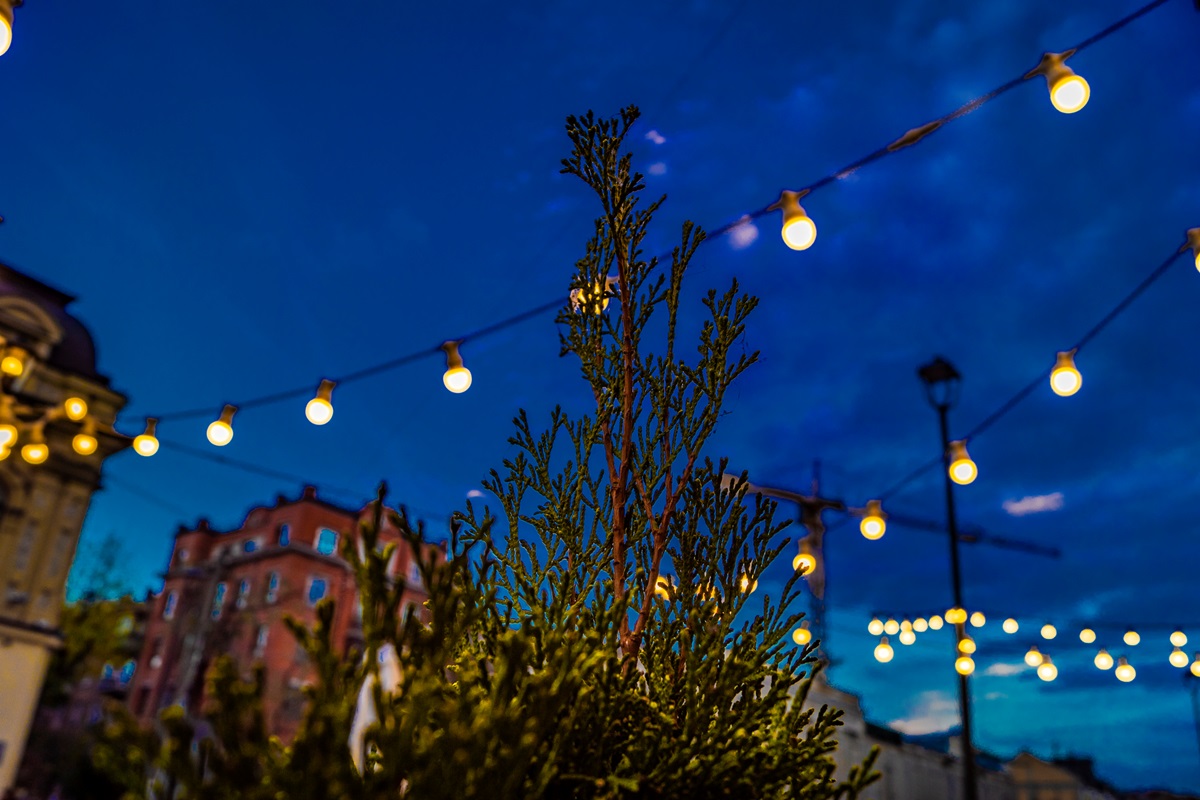 Фото для новини:В Укренерго визначилися щодо відключень у вівторок