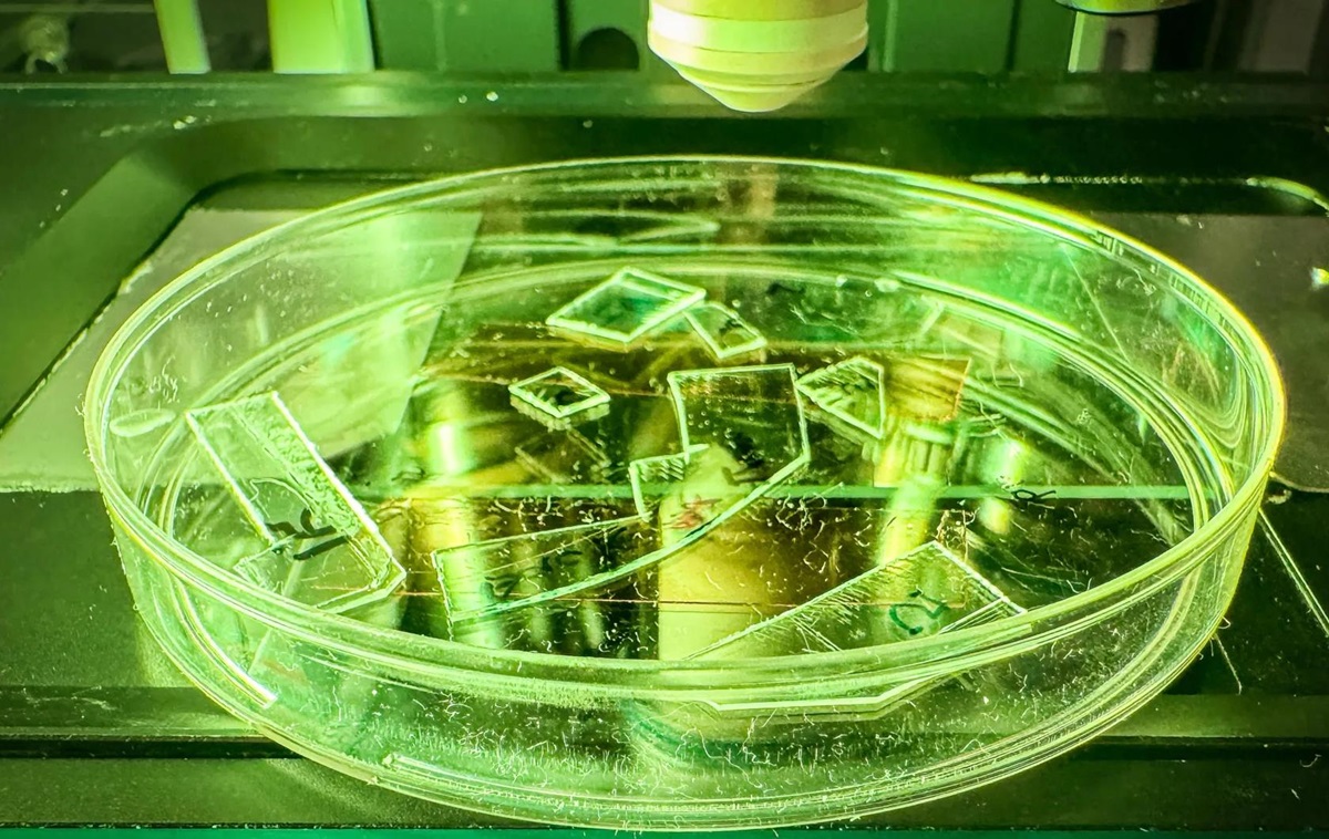 Фото для новини:Вчені створили пластик, який знищує віруси при дотику