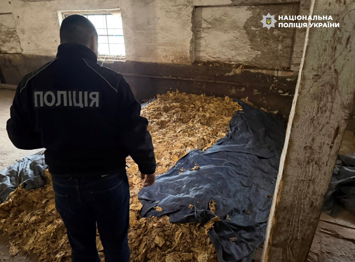Фото для новини:Викрито схему повного циклу виробництва нелегального тютюну на Закарпатті