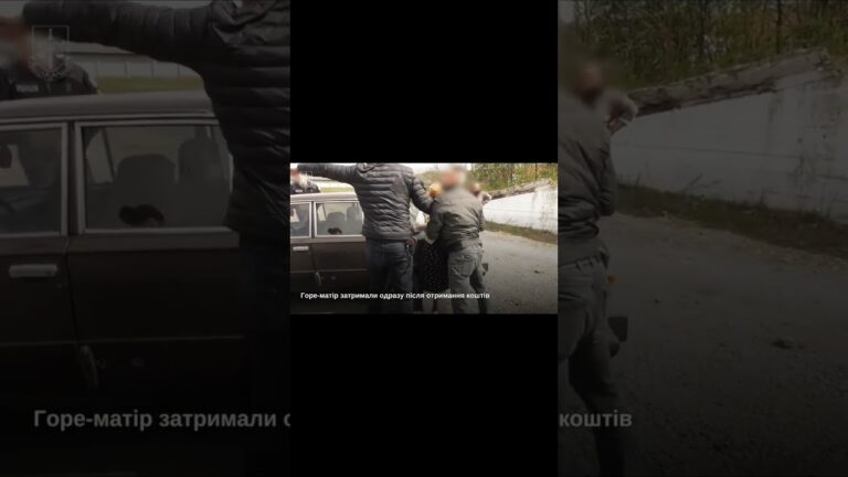 Фото для новини:На Закарпатті жінку підозрюють у торгівлі власними дітьми