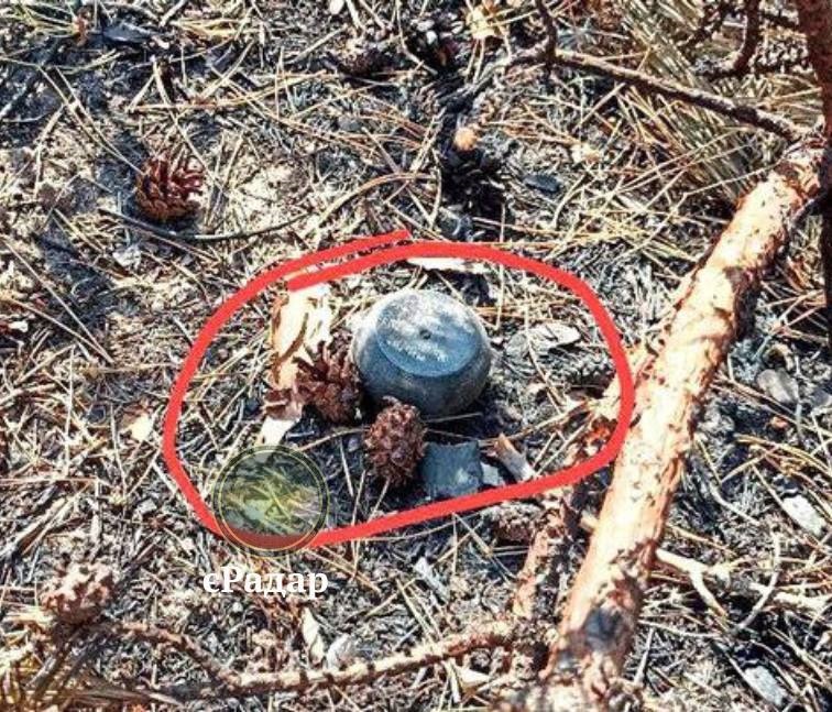 Фото для новини:Загроза для тилу: російські міни Пряник