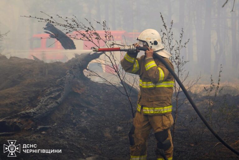 Фото для новини:На Чернігівщині локалізували лісову пожежу