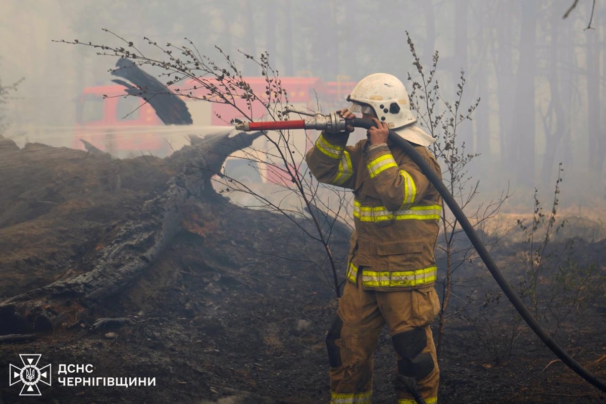 Фото для новини:На Чернігівщині локалізували лісову пожежу