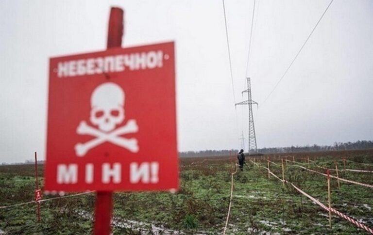 Фото для новини:На Сумщині жінка підірвалася на російській міні