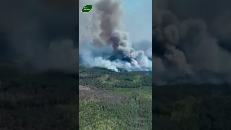 Фото для новини:ГОРИТЬ ЛІС, ДО ЯКОГО ЛІСІВНИКИ НЕ МАЮТЬ ДОСТУПУ: на кордоні з рф палає 2400 гектарів лісу