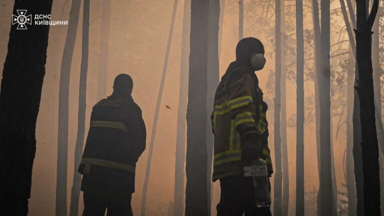 Фото для новини:Пожежа в Чорнобильській зоні: експерти оцінили рівень радіації