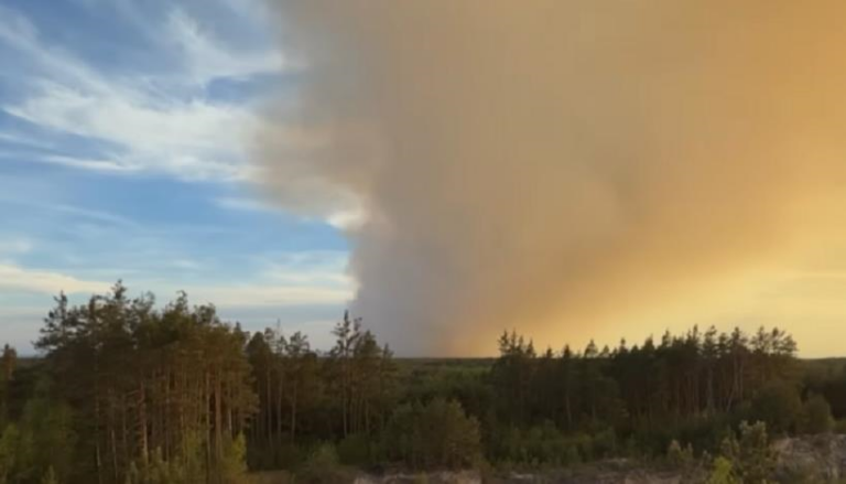 Фото для новини:У Польщі під час гасіння лісової пожежі розбився літак