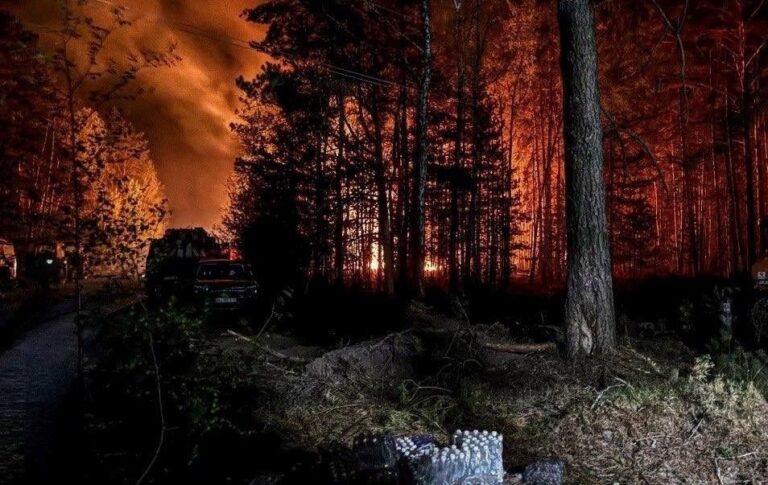 Фото для новини:У Зоні відчуження триває ліквідація лісової пожежі