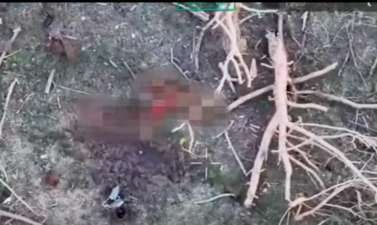 Фото для новини:Військові показали знищення окупантів на Сумщині