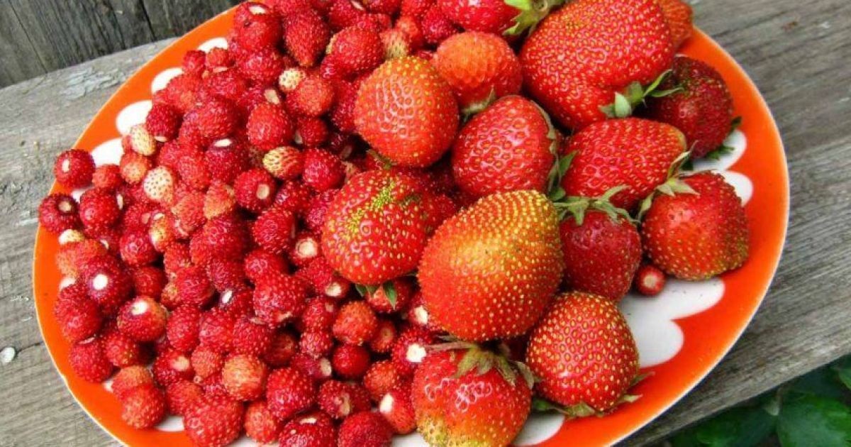 Фото для новини:Гороскоп для всіх знаків Зодіаку на 23 червня 2026 року