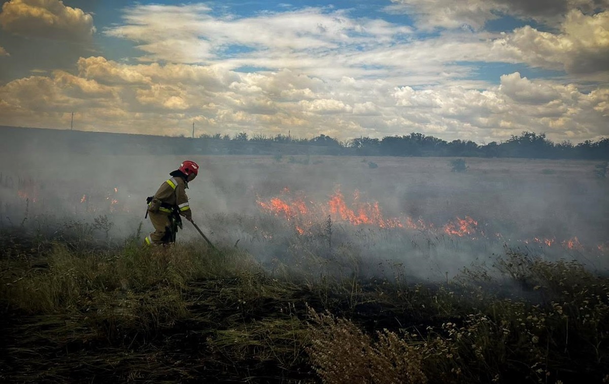 Фото для новини:На Миколаївщині через удар Росії горіли 10 га поля