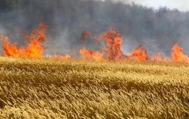 Фото для новини:На Миколаївщині горіла пшениця через російські обстріли