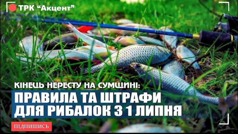 Фото для новини:Рибальський сезон відкрито: що необхідно знати рибалкам