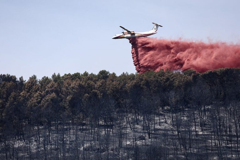 Фото для новини:Франція мобілізувала авіафлот проти лісових пожеж