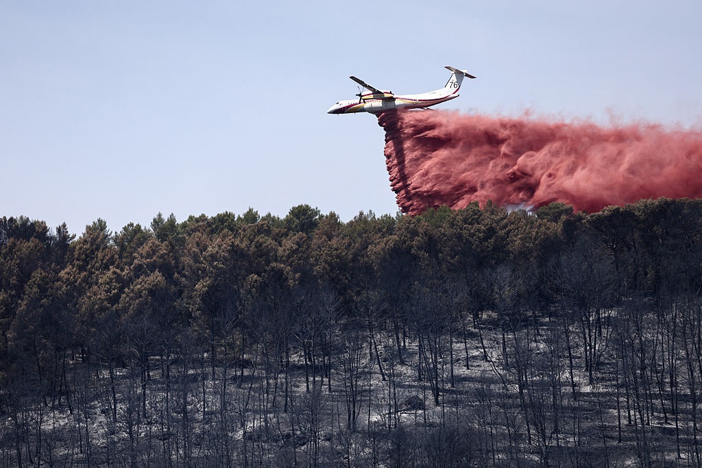 Фото для новини:Франція мобілізувала авіафлот проти лісових пожеж