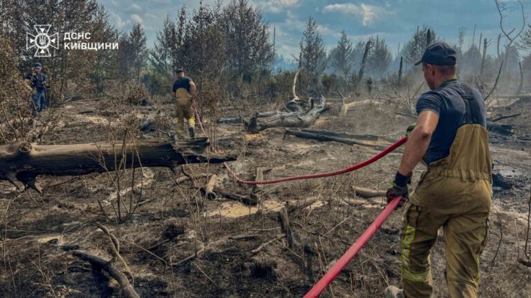 Фото для новини:Масштабні пожежі в Чорнобильській зоні: що кажуть рятувальники
