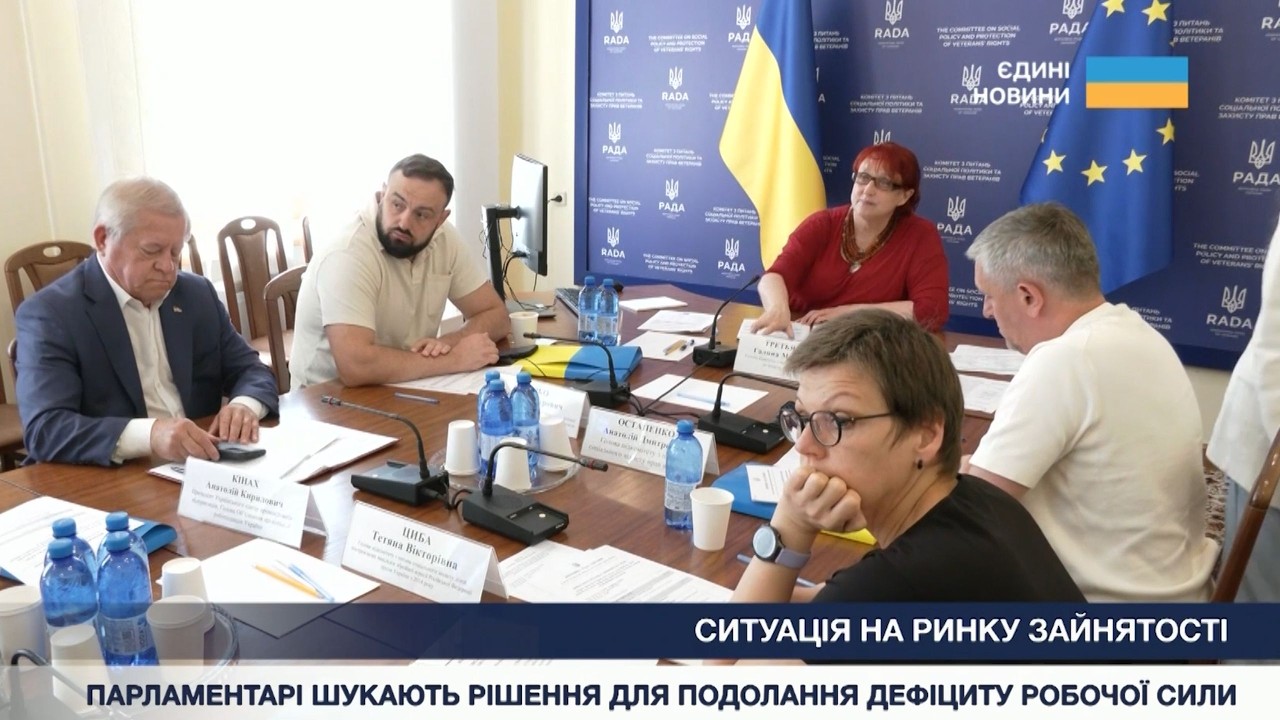 Фото для новини:Ситуація на ринку зайнятості: парламентарі шукають рішення для подолання дефіциту робочої сили