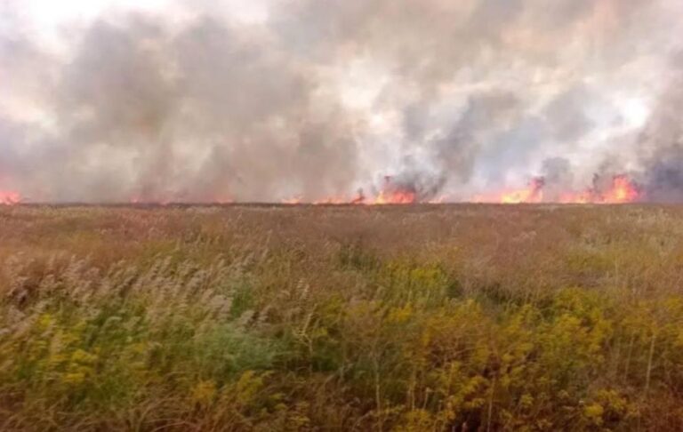 Фото для новини:Окупанти спалили майже 2000 гектарів заповідника Асканія-Нова