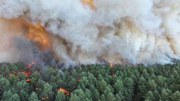 Фото для новини:Під Парижем горить ліс: евакуювали тисячу людей